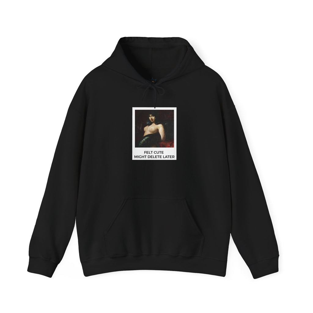Felt Cute Medium-Heavy Hoodie - Black