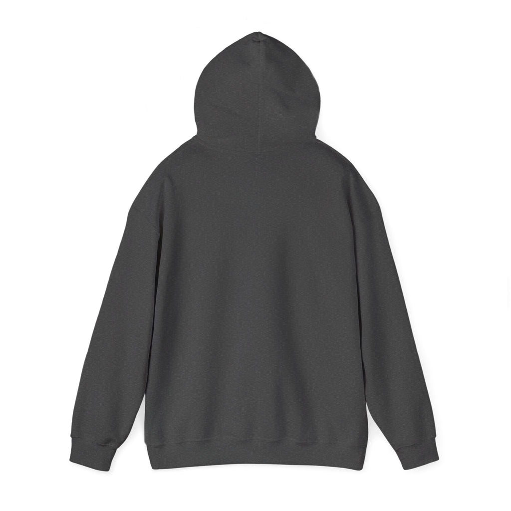 Lumipad Logo Hoodie – Minimal Tech Brand Pullover