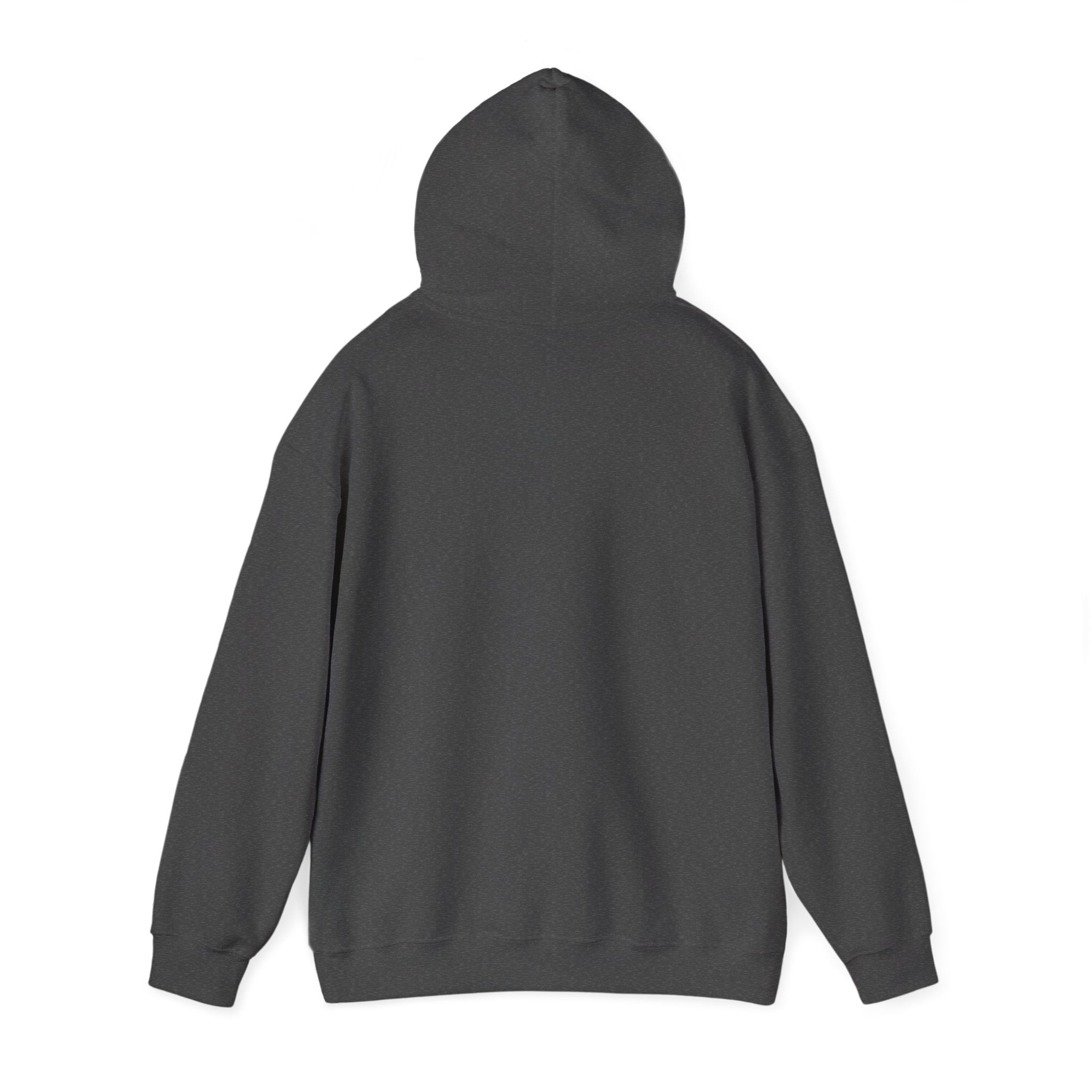 Lumipad Logo Hoodie – Minimal Tech Brand Pullover