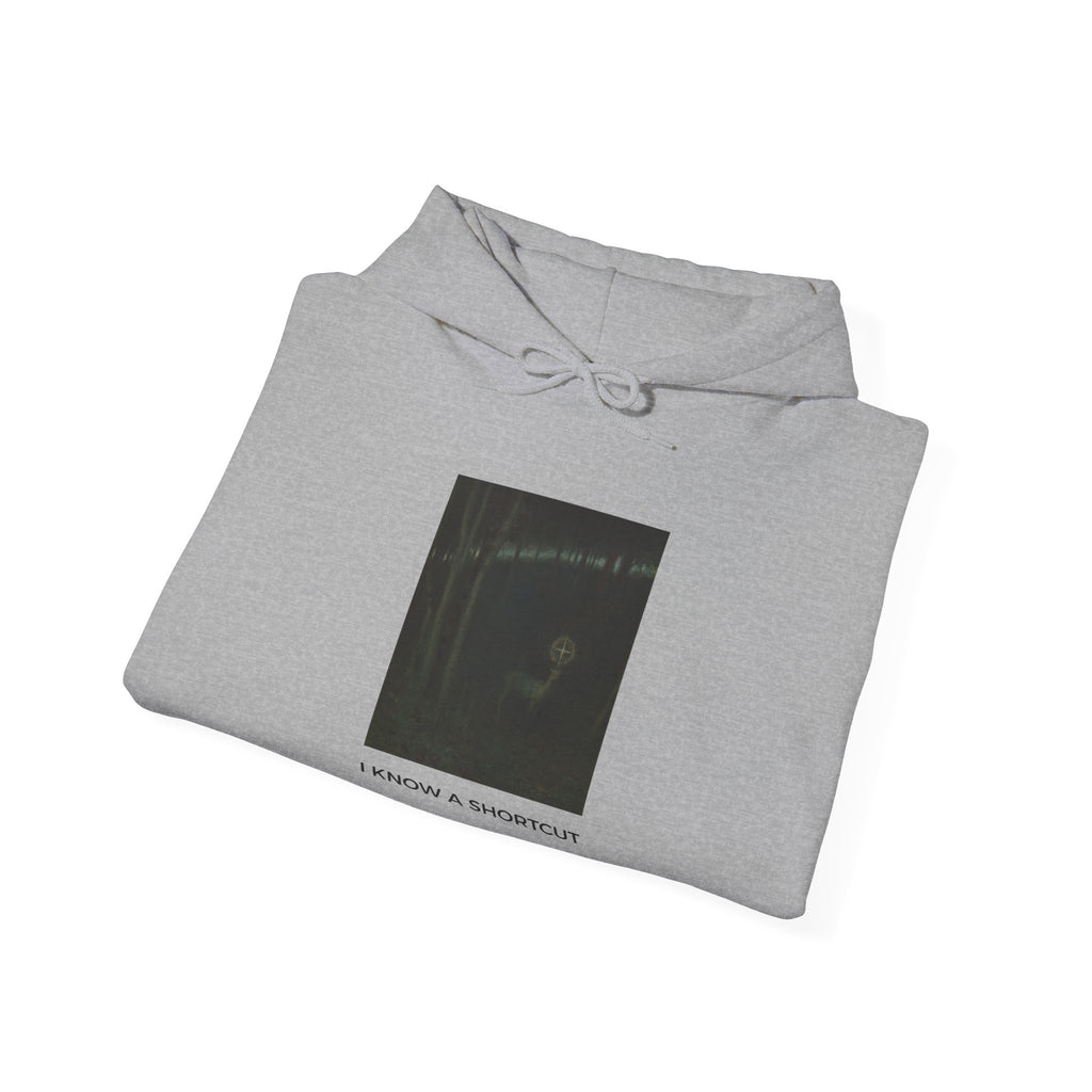 I Know a Shortcut Medium-Heavy Hoodie - Gray